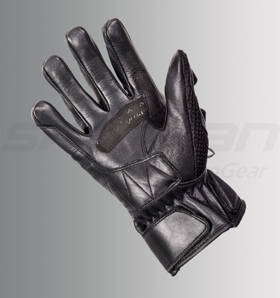 phaeton_black_palm-8363255104.jpg